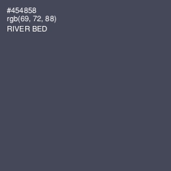 #454858 - River Bed Color Image